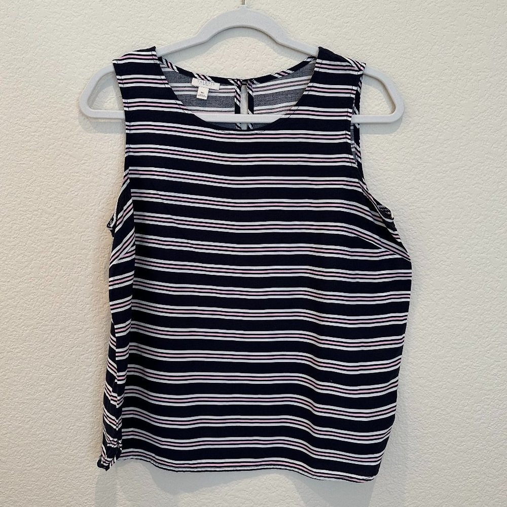 Talbots Blue, Pink and White Stripe Tank Top